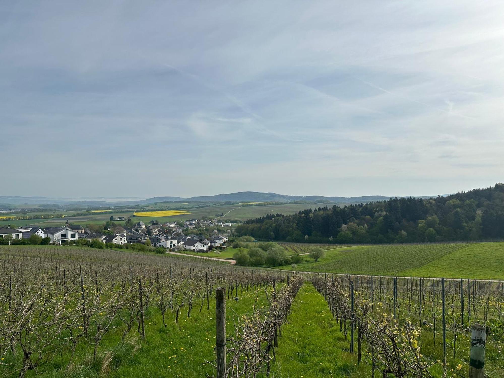 Ferienwohnung Moselherz - Urlaub Im Wein- Und Ferienort Bekond Extérieur photo